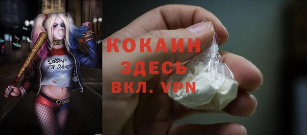 бошки Каменка