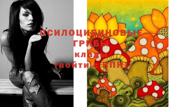марки nbome Каменногорск