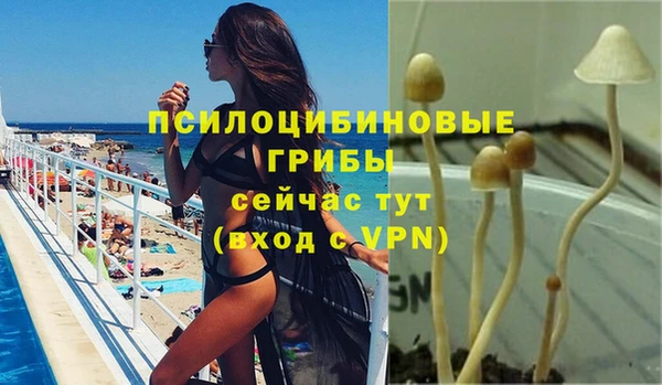 бошки Каменка