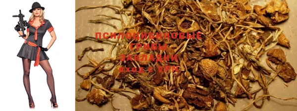 марки nbome Каменногорск