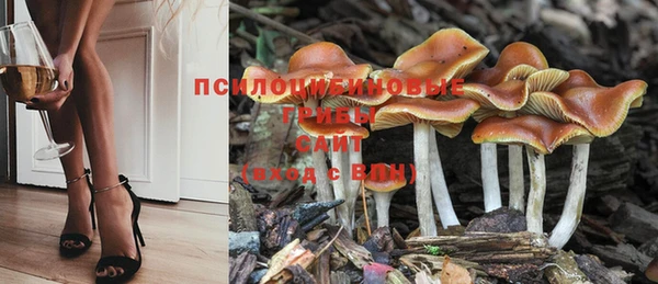 марки nbome Каменногорск