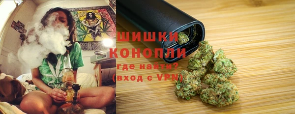 бошки Каменка