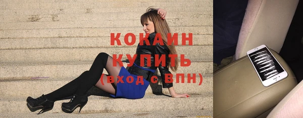 бошки Каменка